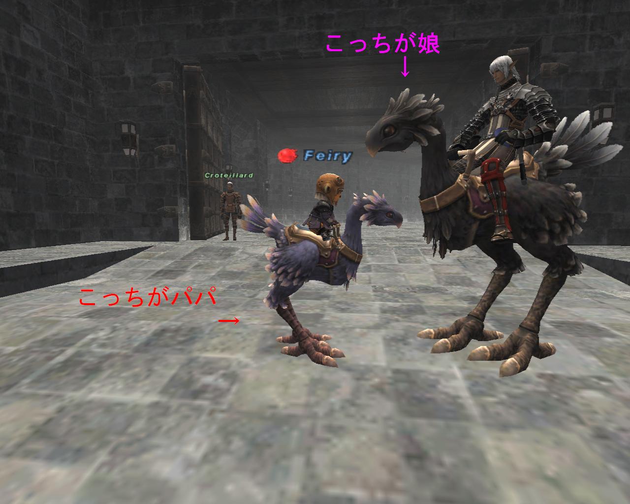 お手伝いとかビシージとかw_f0063726_1921888.jpg