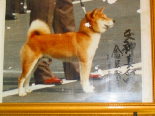 d0088332_14183915.jpg