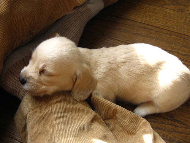f0002532_1412848.jpg