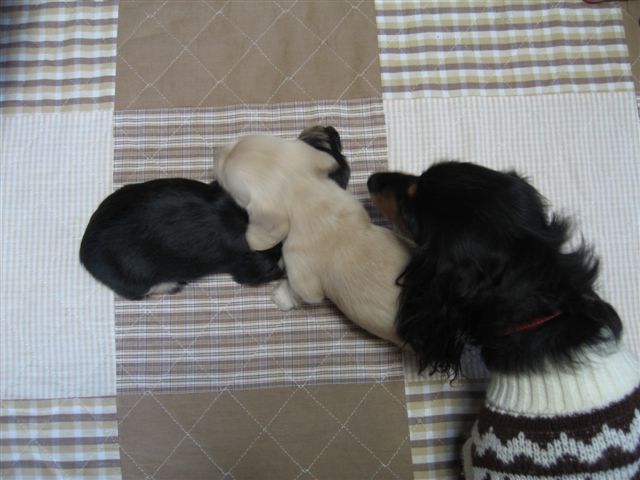 f0002532_2211694.jpg