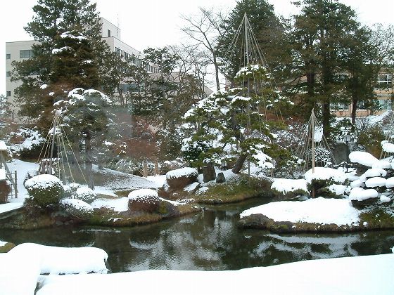 冬の日本庭園 風の通り道