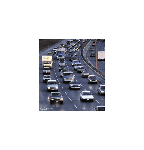 c0001339_13293416.gif