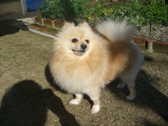 f0106759_76331.jpg