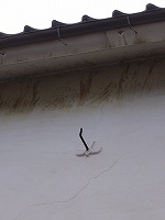 b0026461_17252912.jpg