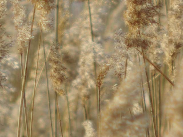 e0019563_23545693.jpg