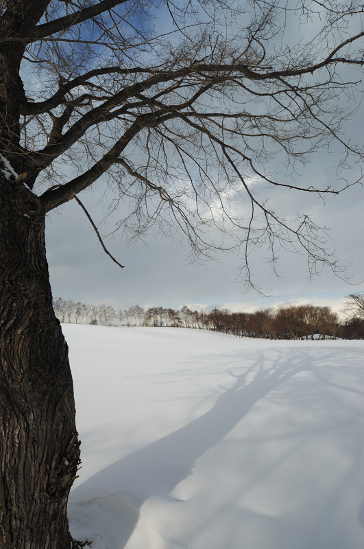 c0084666_2043839.jpg