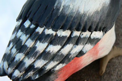 b0068572_1936231.jpg