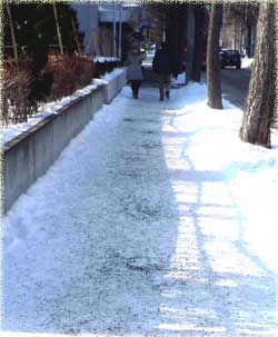 f0083977_21581880.jpg