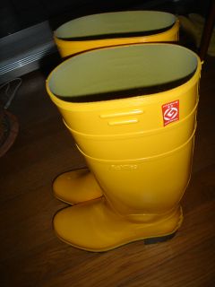 2007年1月2週目_b0098584_16103124.jpg
