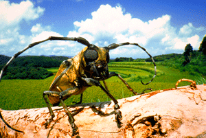 e0003090_2024111.gif