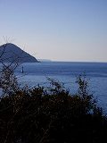 c0033992_1604580.jpg