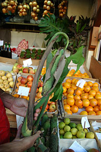 禁断の果実　Mercado dos Lavradores／Madeira-Paris 4_c0046904_20322079.jpg