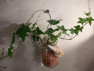 寒いんですが_c0102228_20185165.jpg