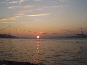 d0093936_15247.jpg
