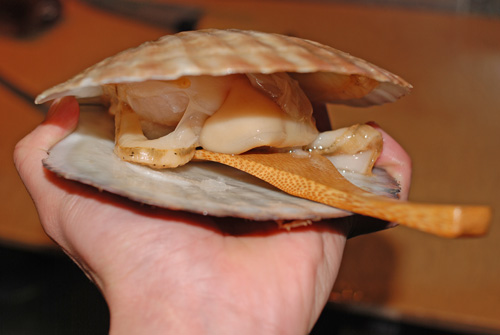 帆立 ホタテ の捌き方 台所にある物で試してみました 魚屋三代目日記 帆立 ホタテ の捌き方 台所にある物で試してみました 魚屋三代目日記