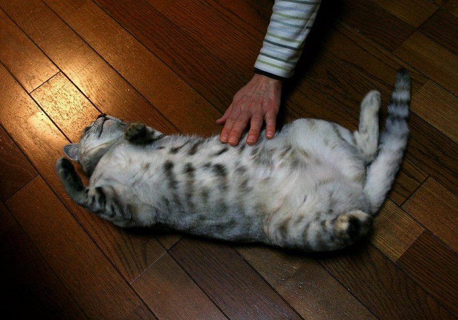 偉大なる装置_b0060239_1291186.jpg