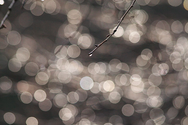 c0067040_22514731.jpg