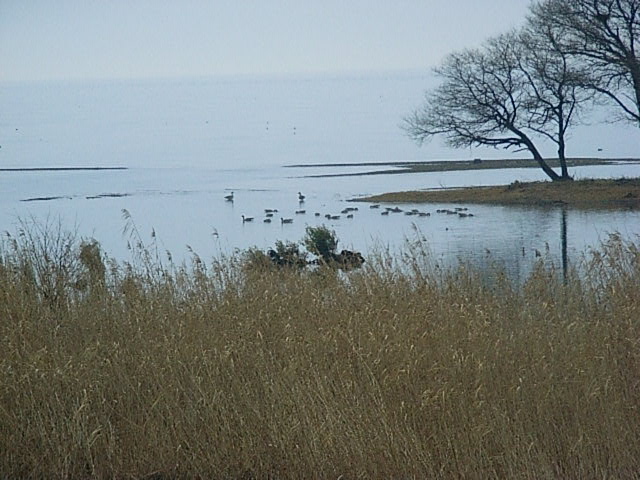 f0040342_22246.jpg