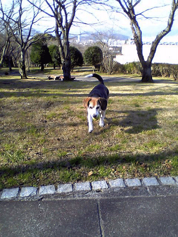 b0005652_2082385.gif