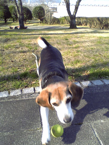 b0005652_2084291.gif