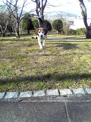 b0005652_208431.gif