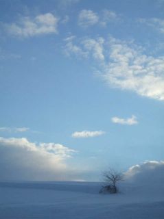 c0097856_22482061.jpg