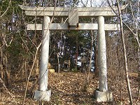 日向山 ～ 天王山 （太田市菅塩町） ～ 藪山を西へ_b0004675_18231116.jpg