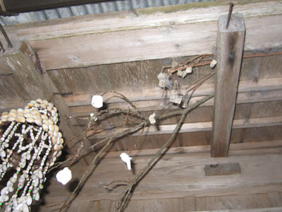 西田製糖さんのナリモチ_e0028387_22245253.jpg