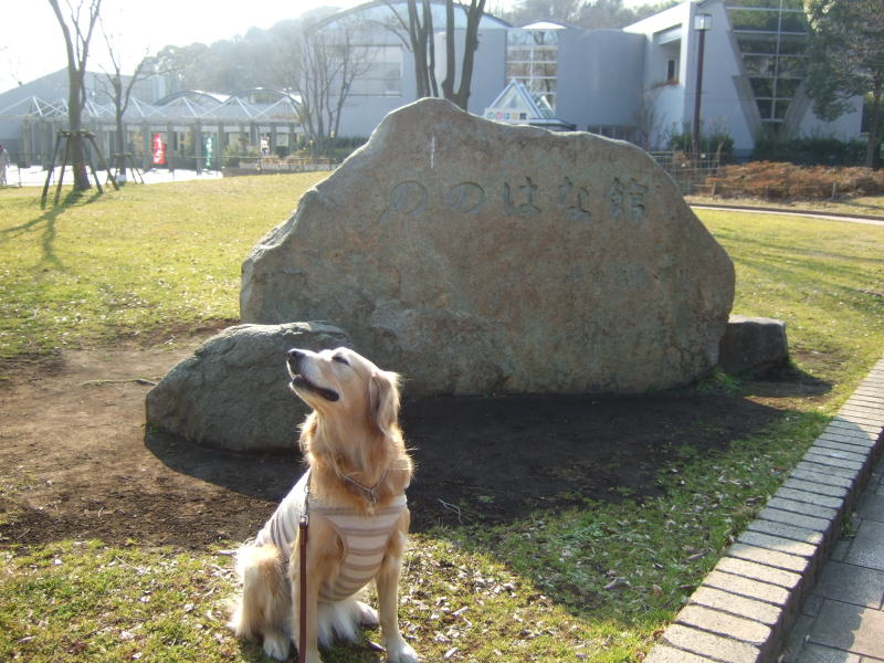 金沢自然公園へ_c0104492_2104925.jpg