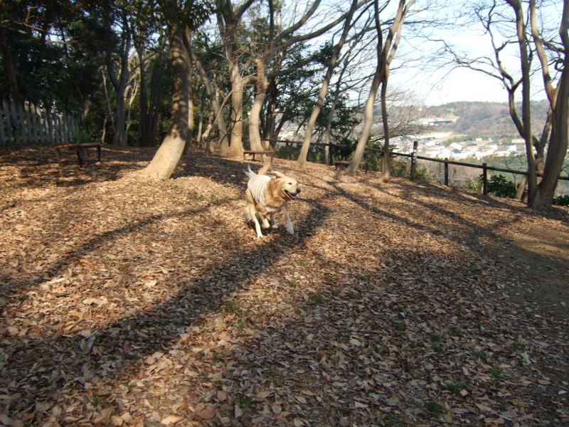 金沢自然公園へ_c0104492_26186.jpg