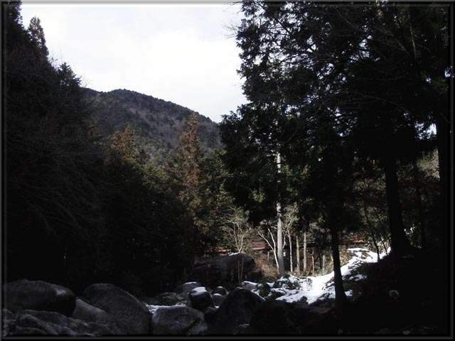 a0043395_2034315.jpg