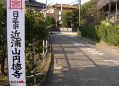 三浦半島ゆる～くウォーキング　　長浜、荒崎編①_c0008598_10583898.jpg