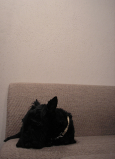 1・17_e0055098_13234238.jpg