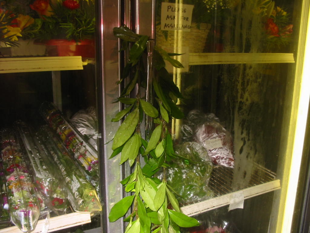 e0013207_21555738.jpg