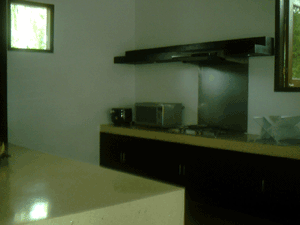 d0038319_10213229.gif