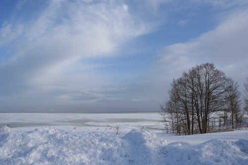 a0087133_0203689.jpg