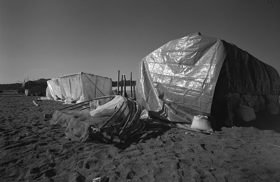 e0006135_151347.jpg
