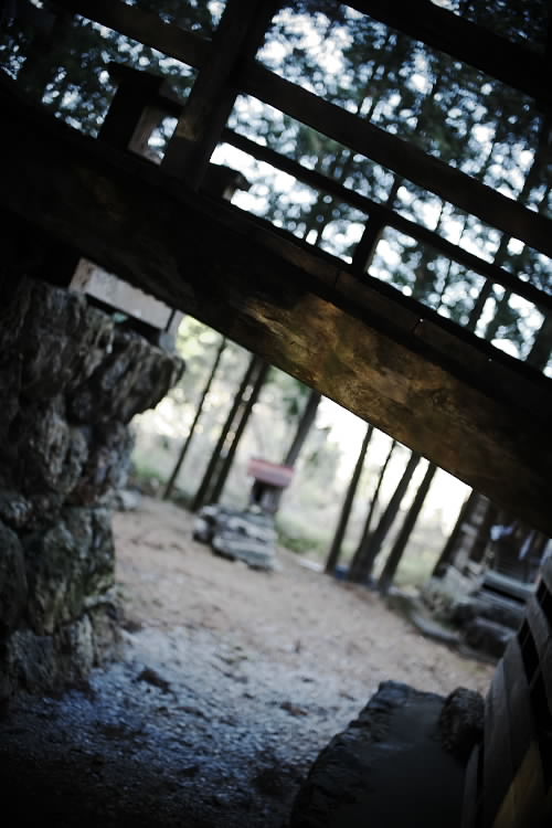 祈年神社 Ⅰ  高知県南国市東崎_a0078341_20533461.jpg