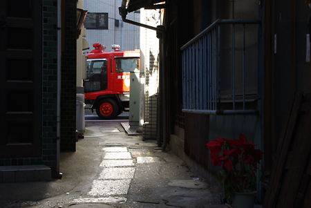 b0087456_0361693.jpg