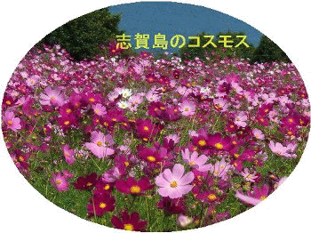b0065261_23563467.gif