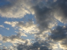 f0051186_24196.jpg