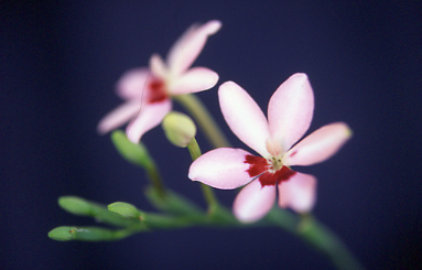 d0025894_0251585.jpg