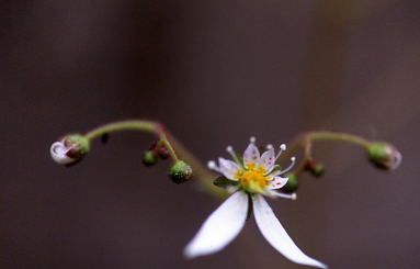 d0025894_055538.jpg