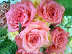 b0059000_10342536.jpg