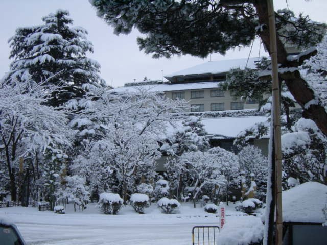 里帰り　冬休み編　　雪景色とお土産_b0083902_21385.jpg