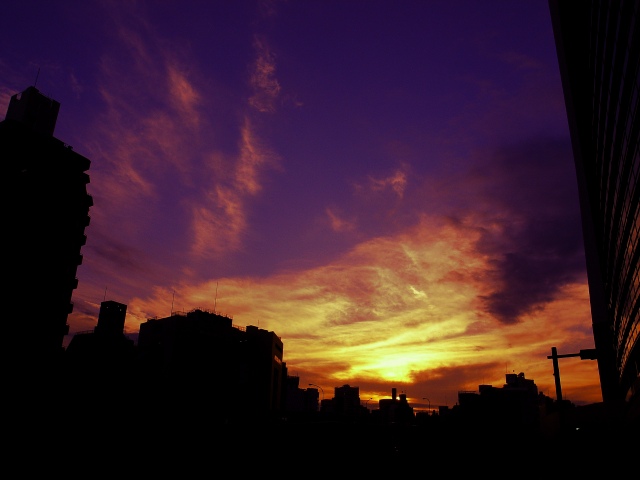 c0071611_19193317.jpg