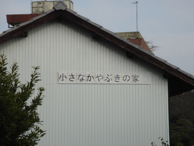 c0052659_2253136.jpg