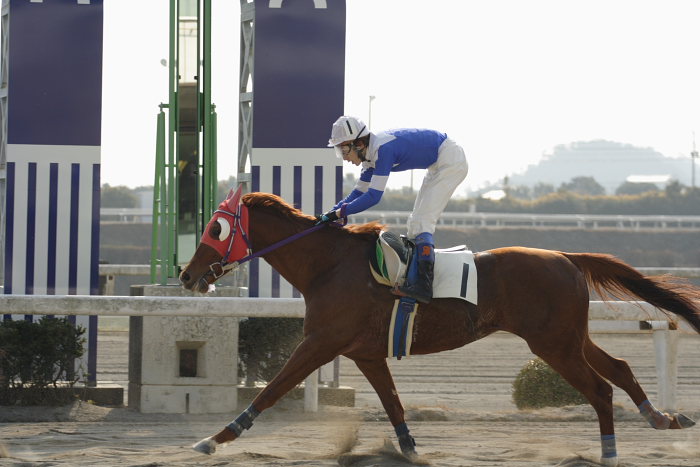 2007年1月13日（土） 高知競馬 1R 佐原秀泰騎手_a0077663_1432020.jpg