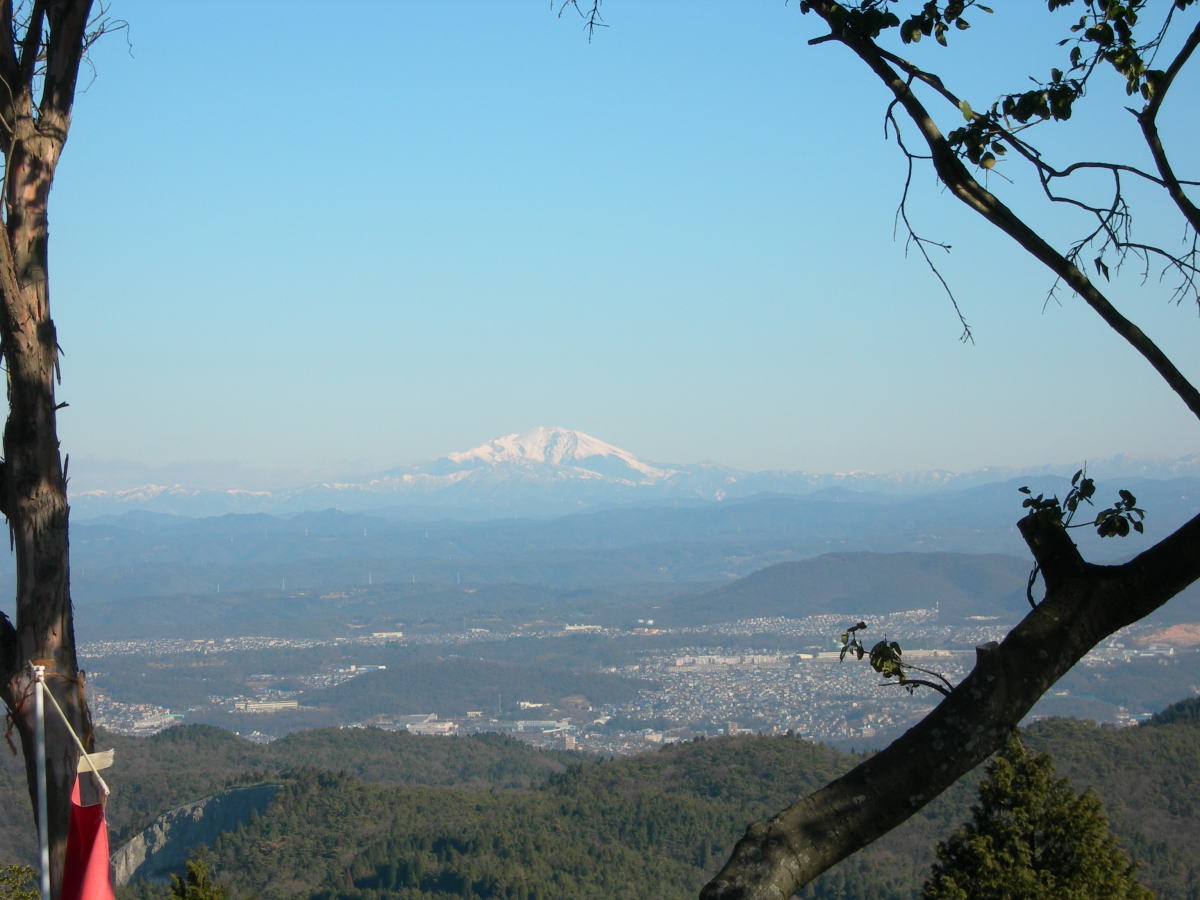 a0053771_20432574.jpg