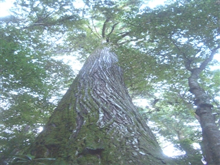 意味のある新月と大寒の神事_e0035273_10543634.jpg